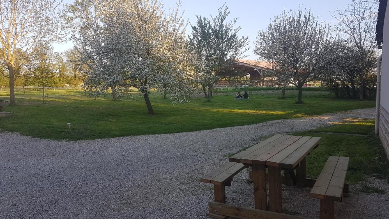 Ferme Passion Bed & Breakfast Saint-Trivier-sur-Moignans Dış mekan fotoğraf
